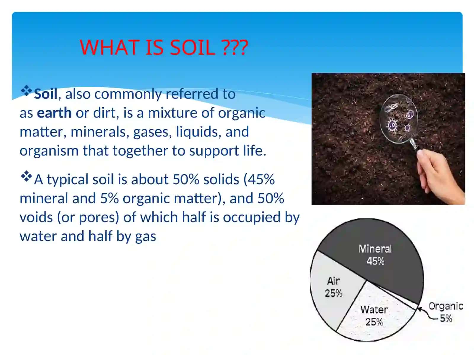 SOIL MICROBIOLOGY: MICROORGANISMS IN PLANT ROOTS AND THEIR IMPORTANCE 3
