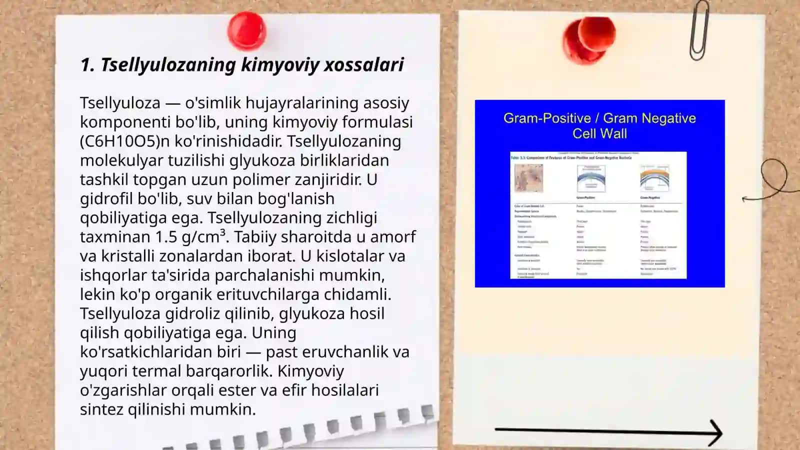 Tsellyulozani qayta ishlash nazariy asoslari 3