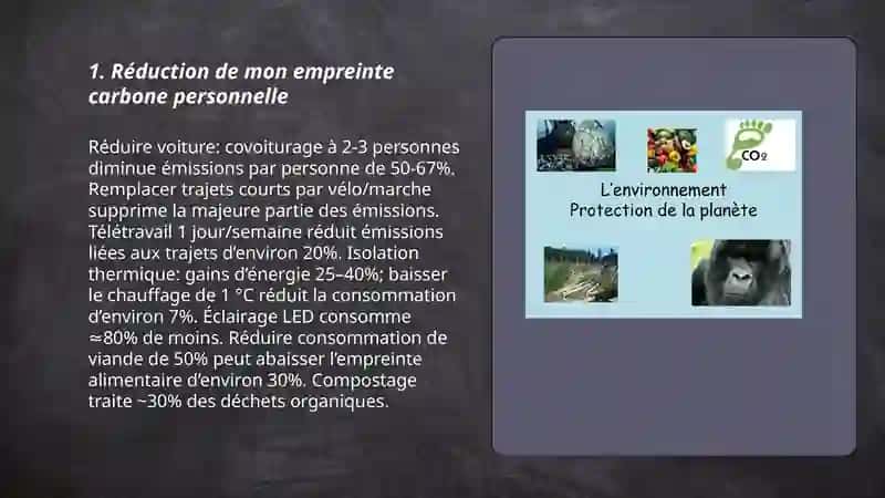 L'environnement et ma responsabilitè 3
