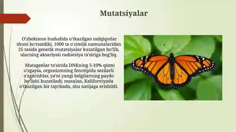 Mutatsiyalar 3