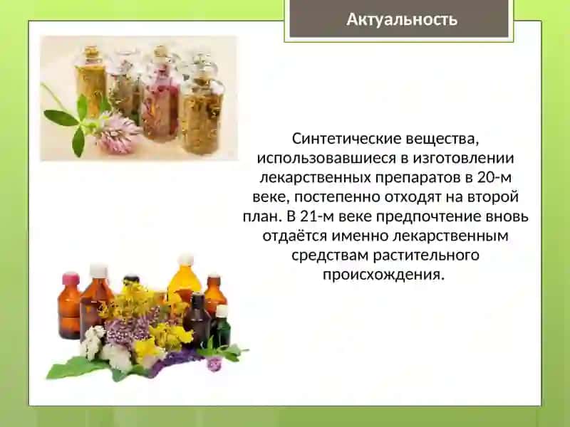 Фитопрепараты и их применение 3