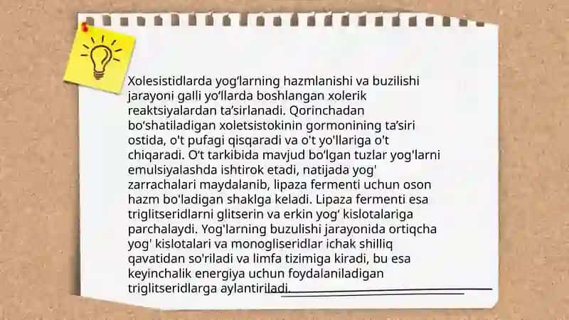 Xolesistidlarda yogʻlarning hazmlanishi va buzulishi 3