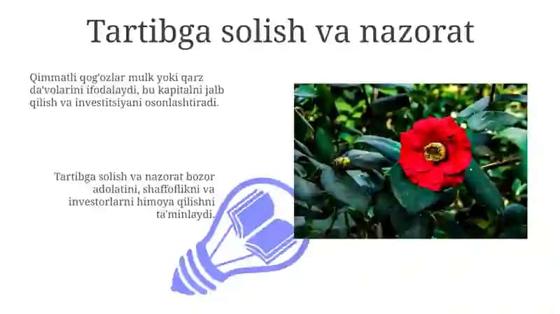 Qimmatli qog’ozlar, ularning turlari va amal qilishi 3