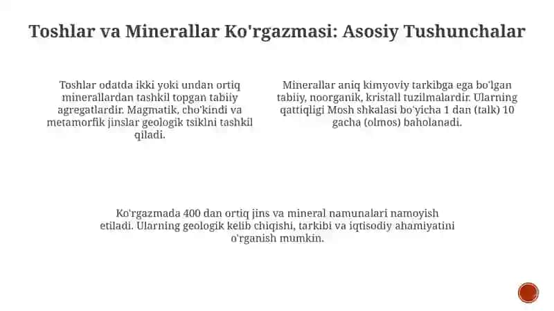 NUU Geologiya Muzeyi 3