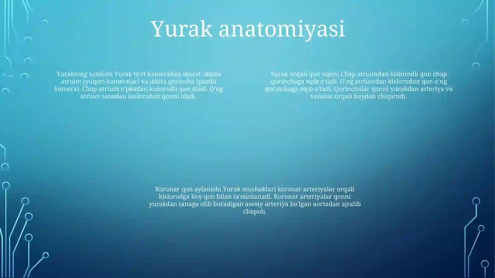 Yurak 3