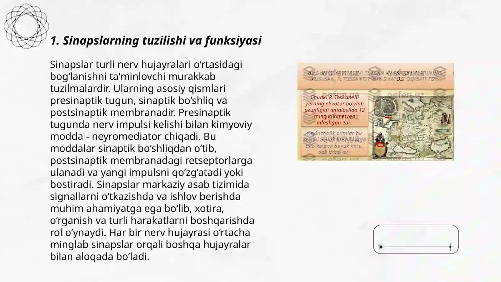 Sinapslarning tuzilishi va funksiyasi 3