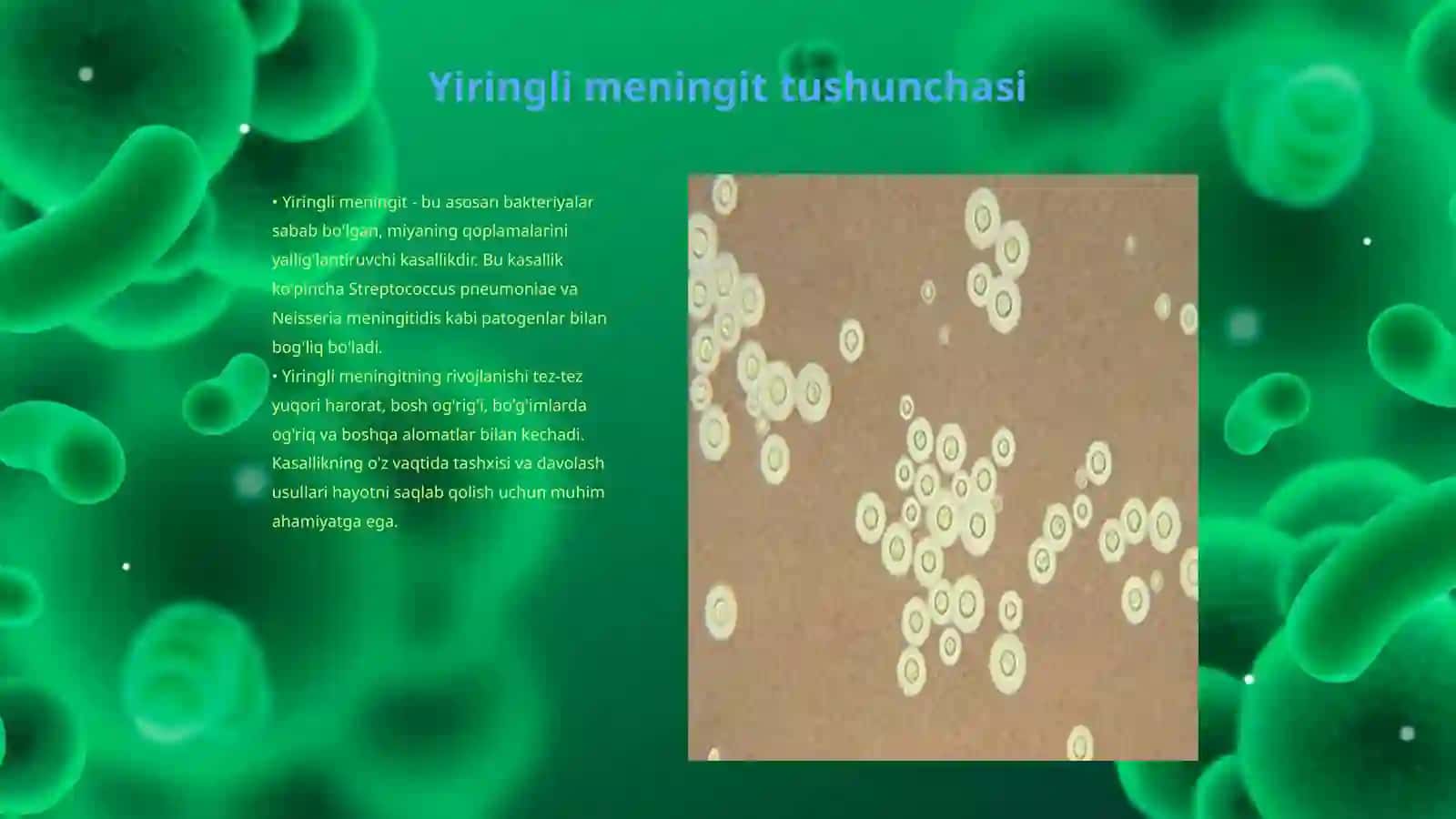 Yiringli va serozli meningit va meningoensefalit 3