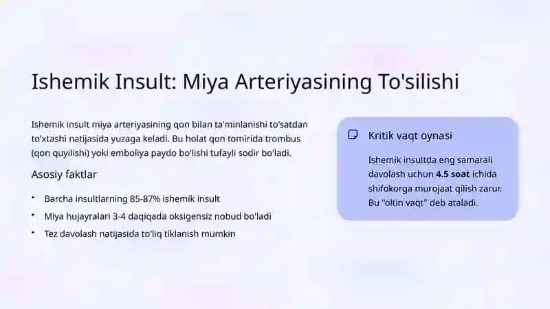 Insult: Ishemik va Gemorragik Shakllari 3