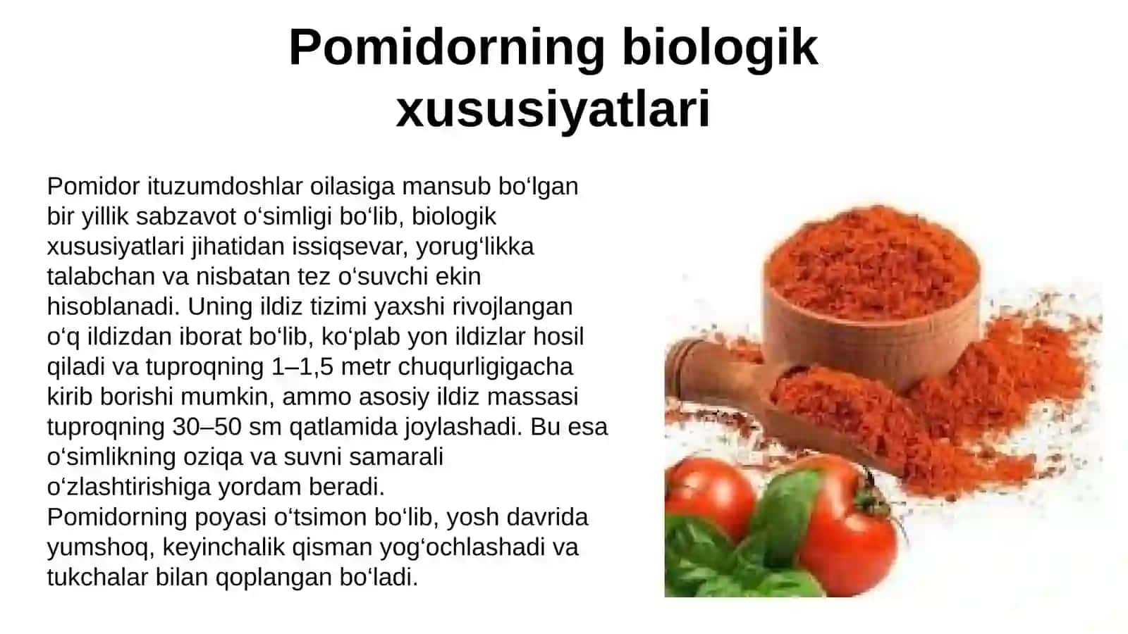 PAMIDOR QURITISH TEXNOLOGIYASI 3