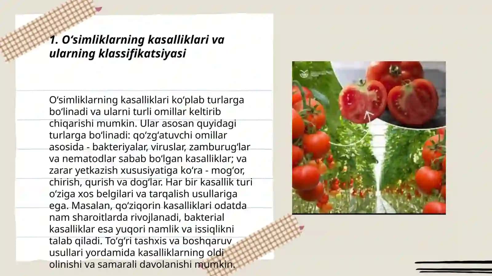 Oʻsimliklar kasallik klassifikatsiya 3