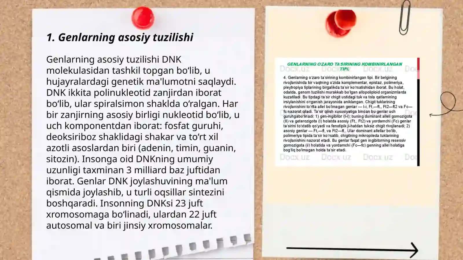 Genlarning xususiyatlari, irsiy qonuniyatlar 3
