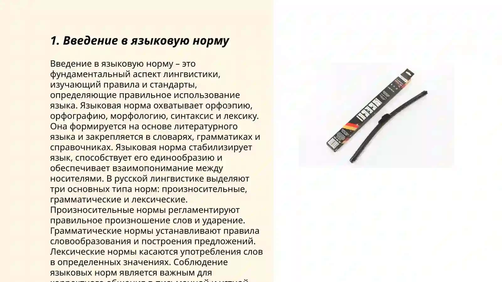 Языковая норма. История педагогики 3
