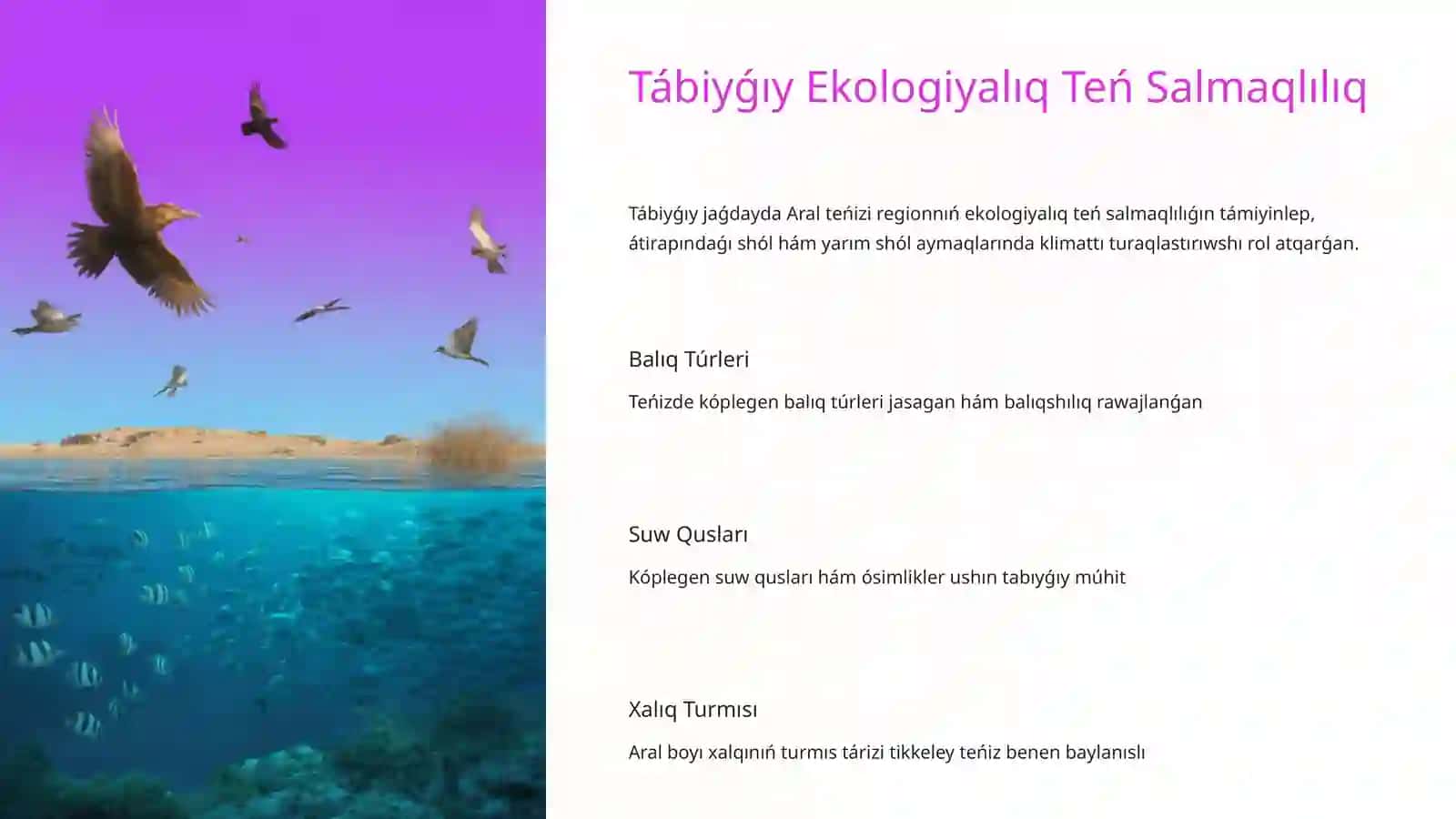 Aral mashqalası 3