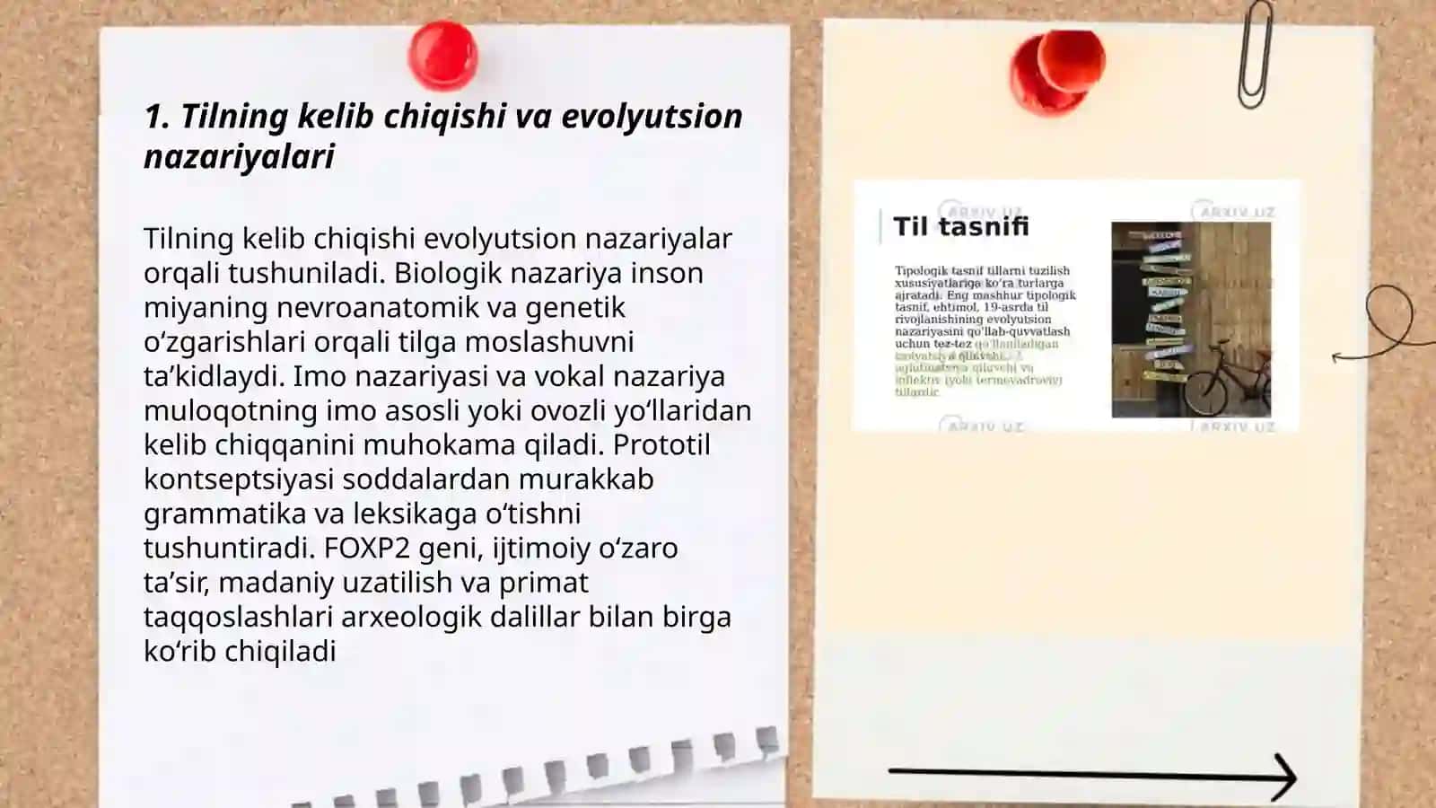 Tillarning shakllanishi va rivojlanishi 3