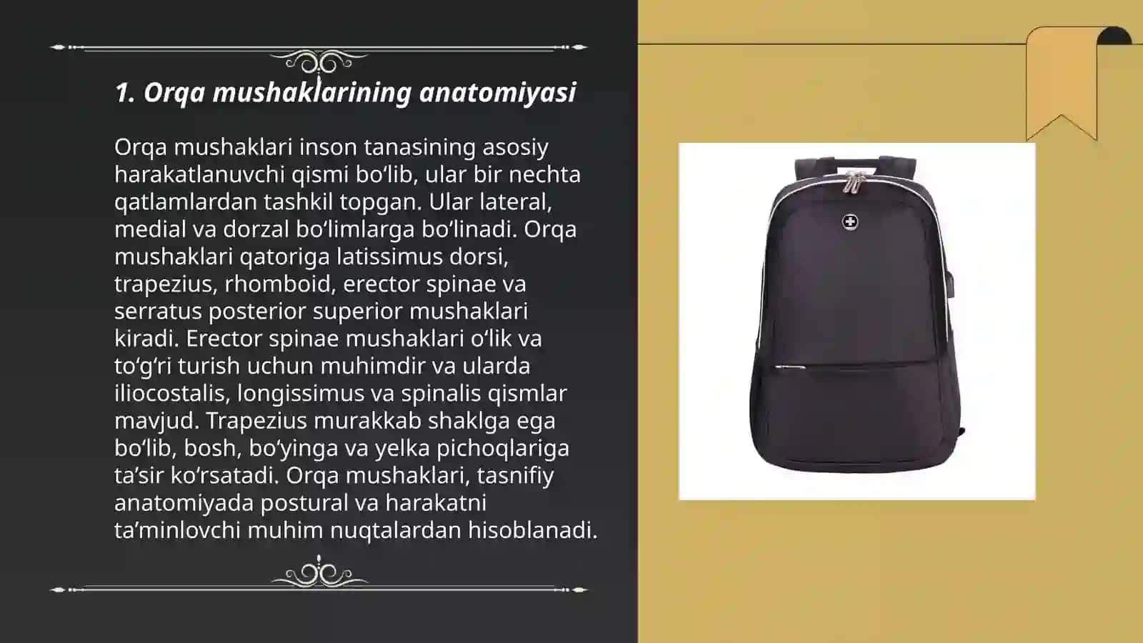 Orqa va koʼkrak mushaklari 3