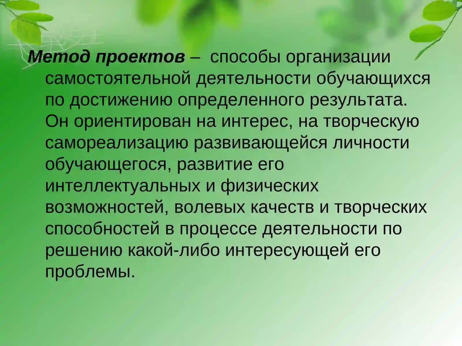 Проектная деятельность в начальной школе 3