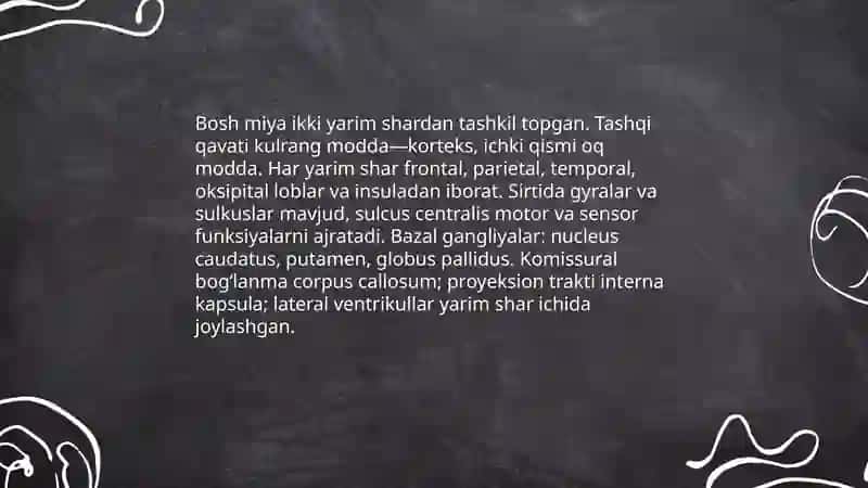 Bosh miya yarim sharlari anatomiyasi 3