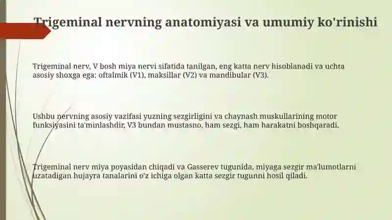 Uch shoxli nerv: koz va yuqori jag' 3