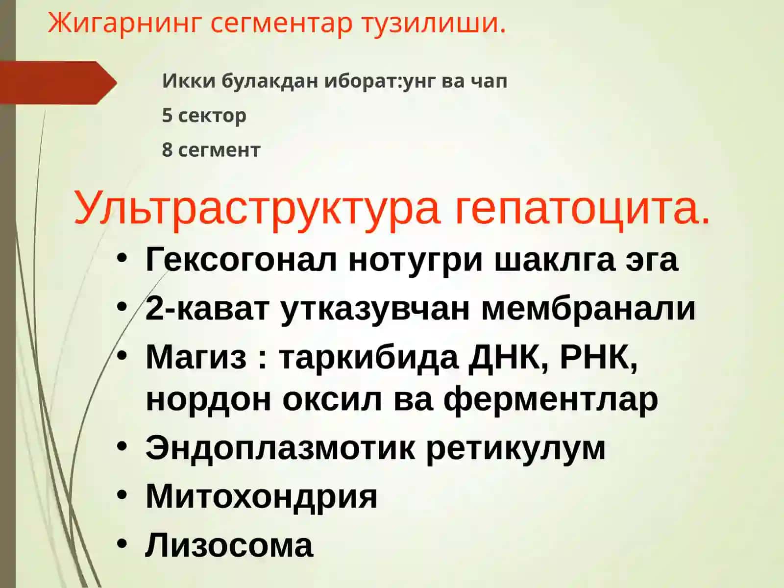 Сурункали гепатитлар. Жигар циррози 3