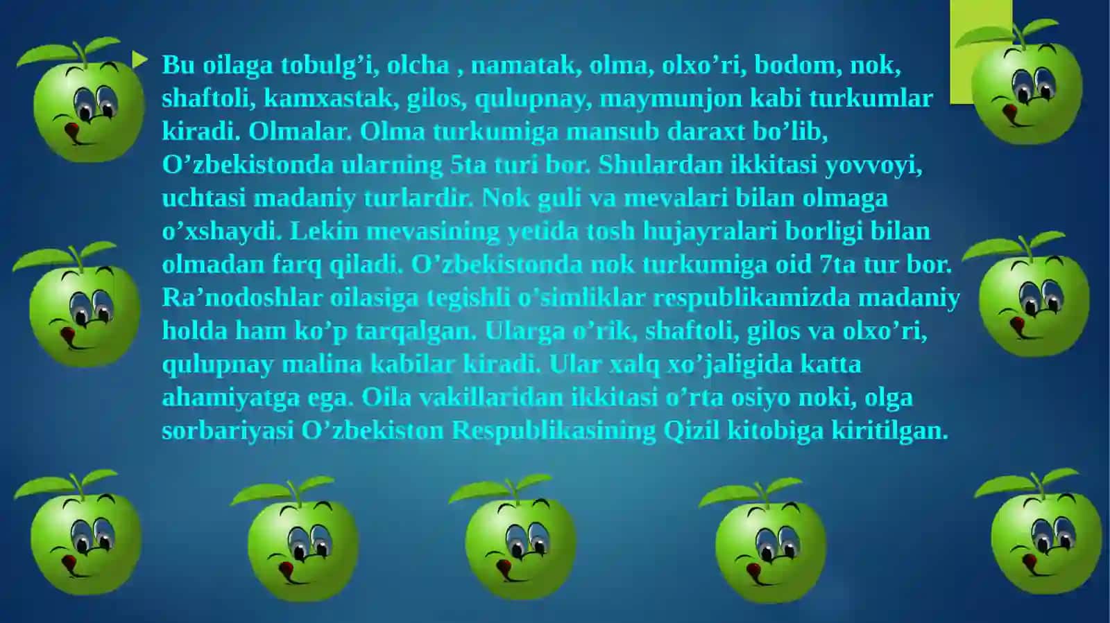 GULXAYRIDOSHLAR 3