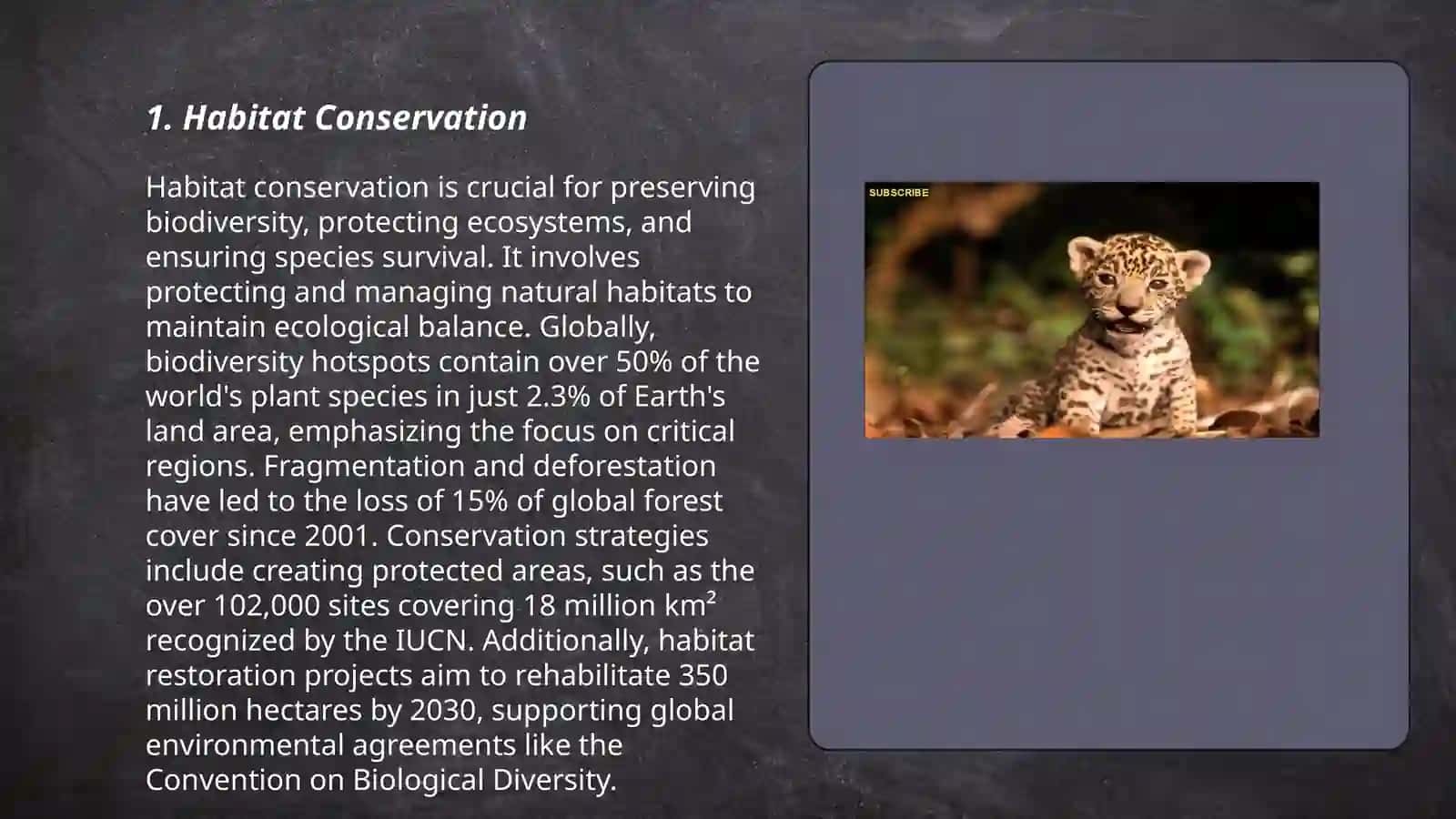 Wild animals 3