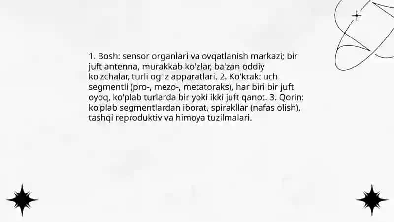 Hasharotlarning ichki va tashqi tuzilishi 3