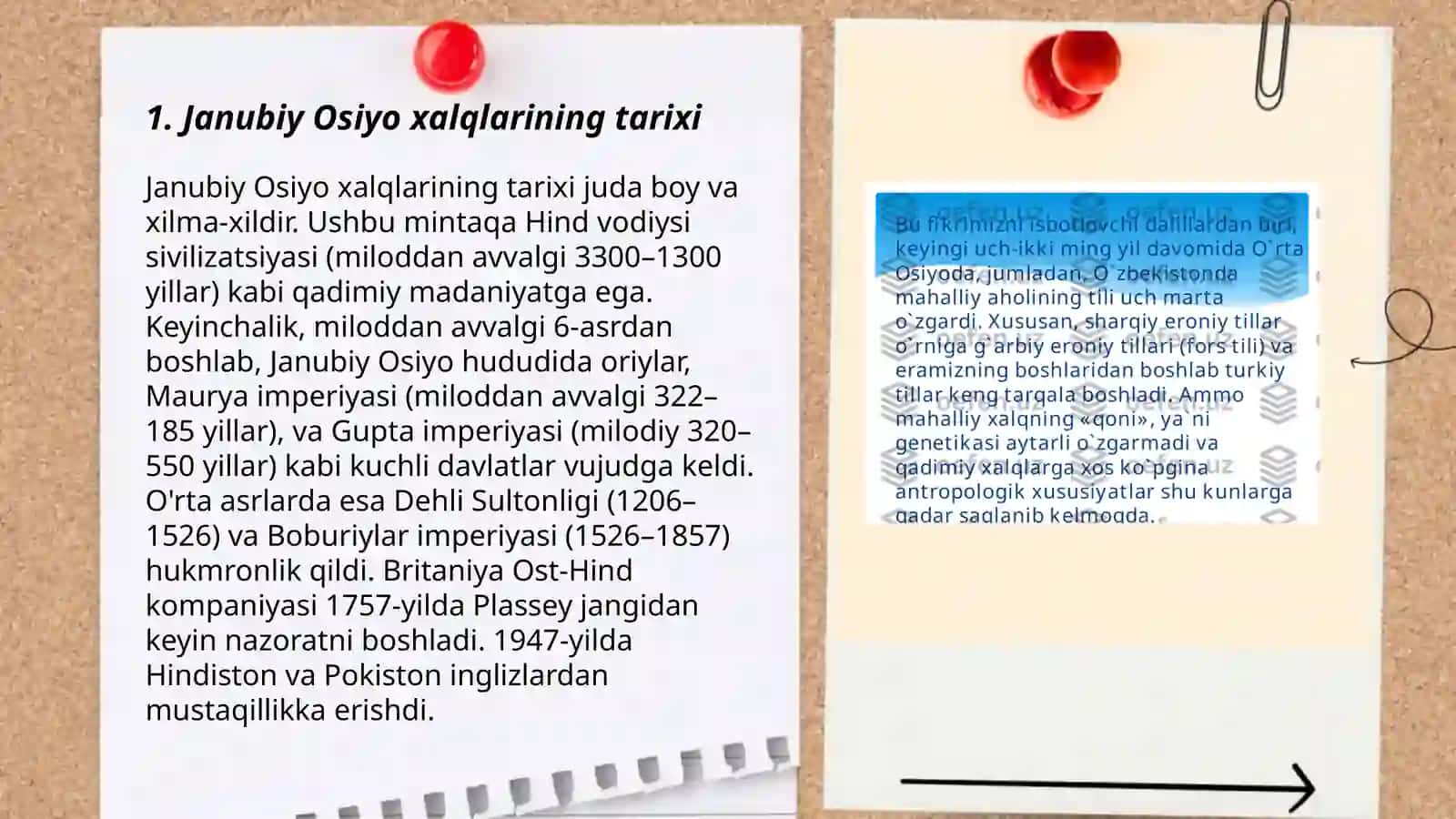 Janubiy Osiyo xalqlarining etnik qiyofasi 3
