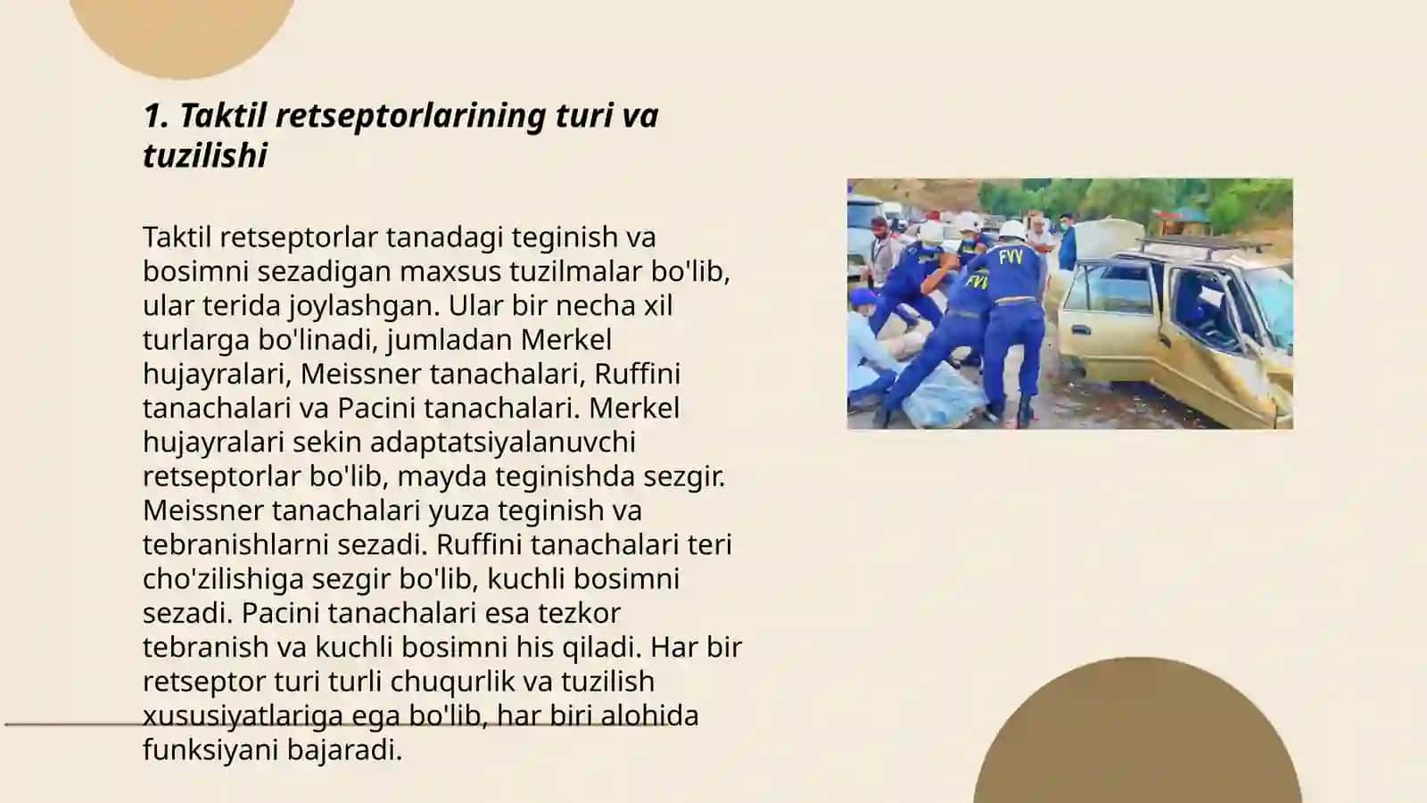 Taktil va harorat retsepsiyasi 3