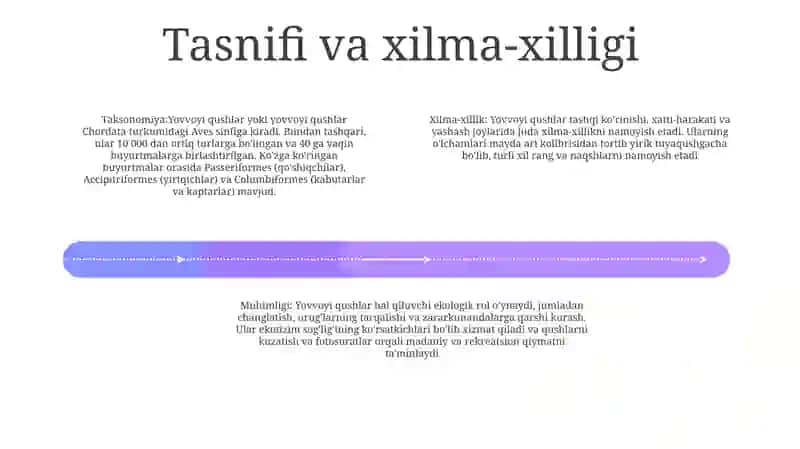 Yovvoyi Qushlar 3