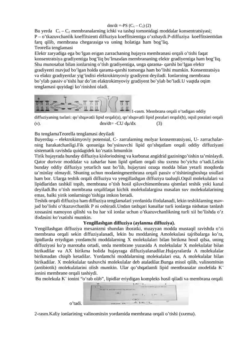 Hujayra transporti 3
