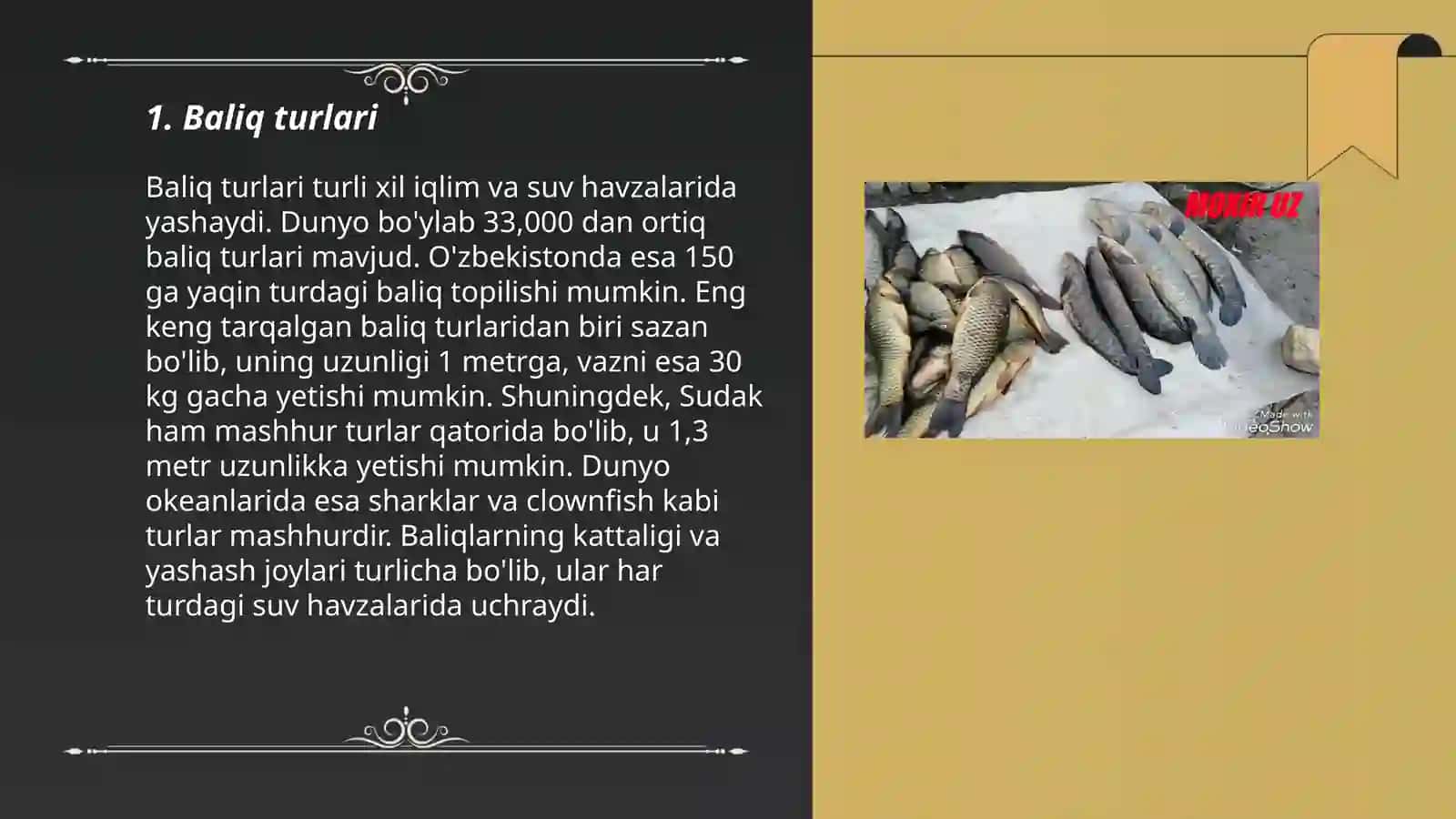 Baliq va baliq mahsulotlari 3