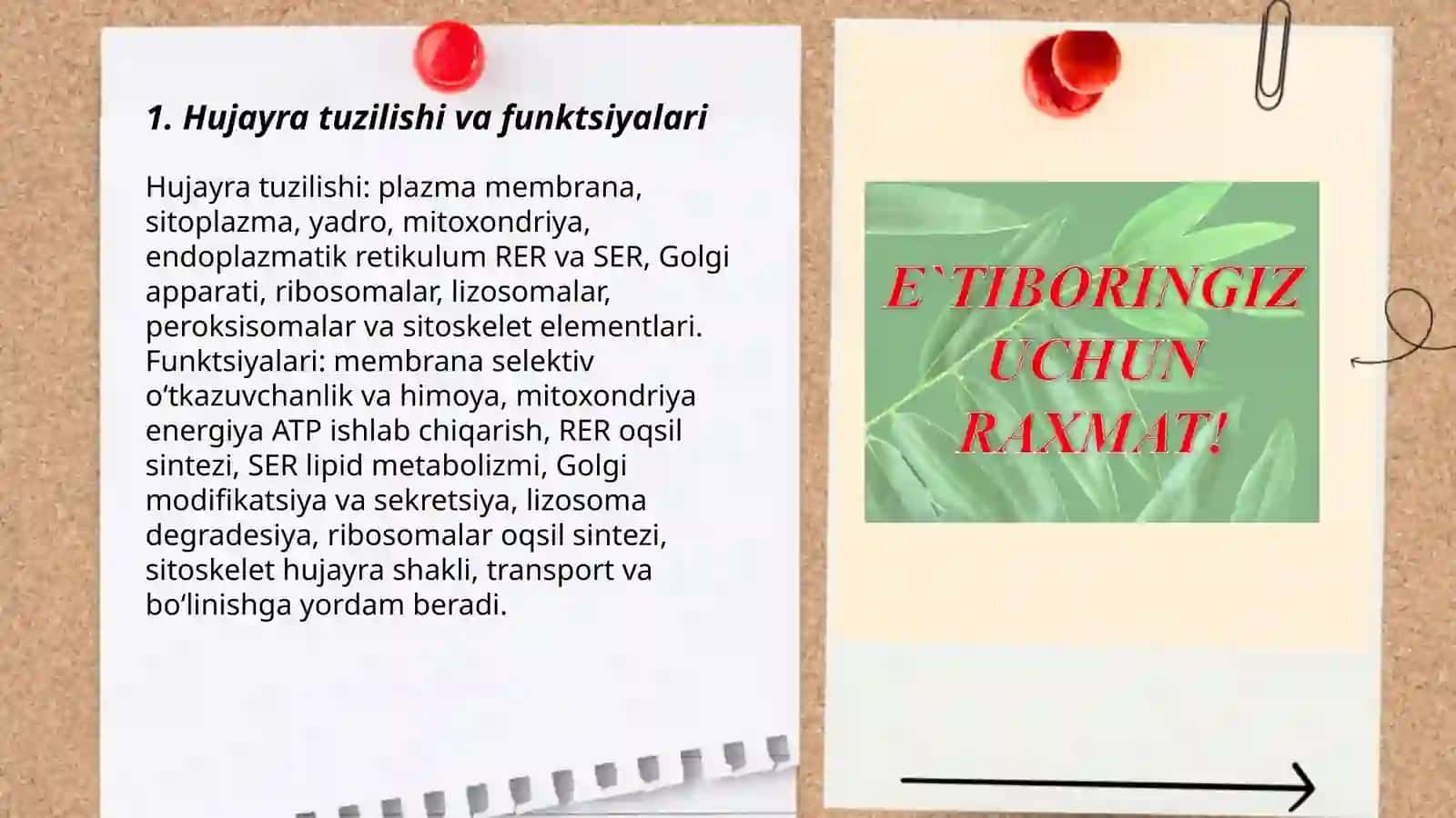 Sitologiya va Gistoogiya 3