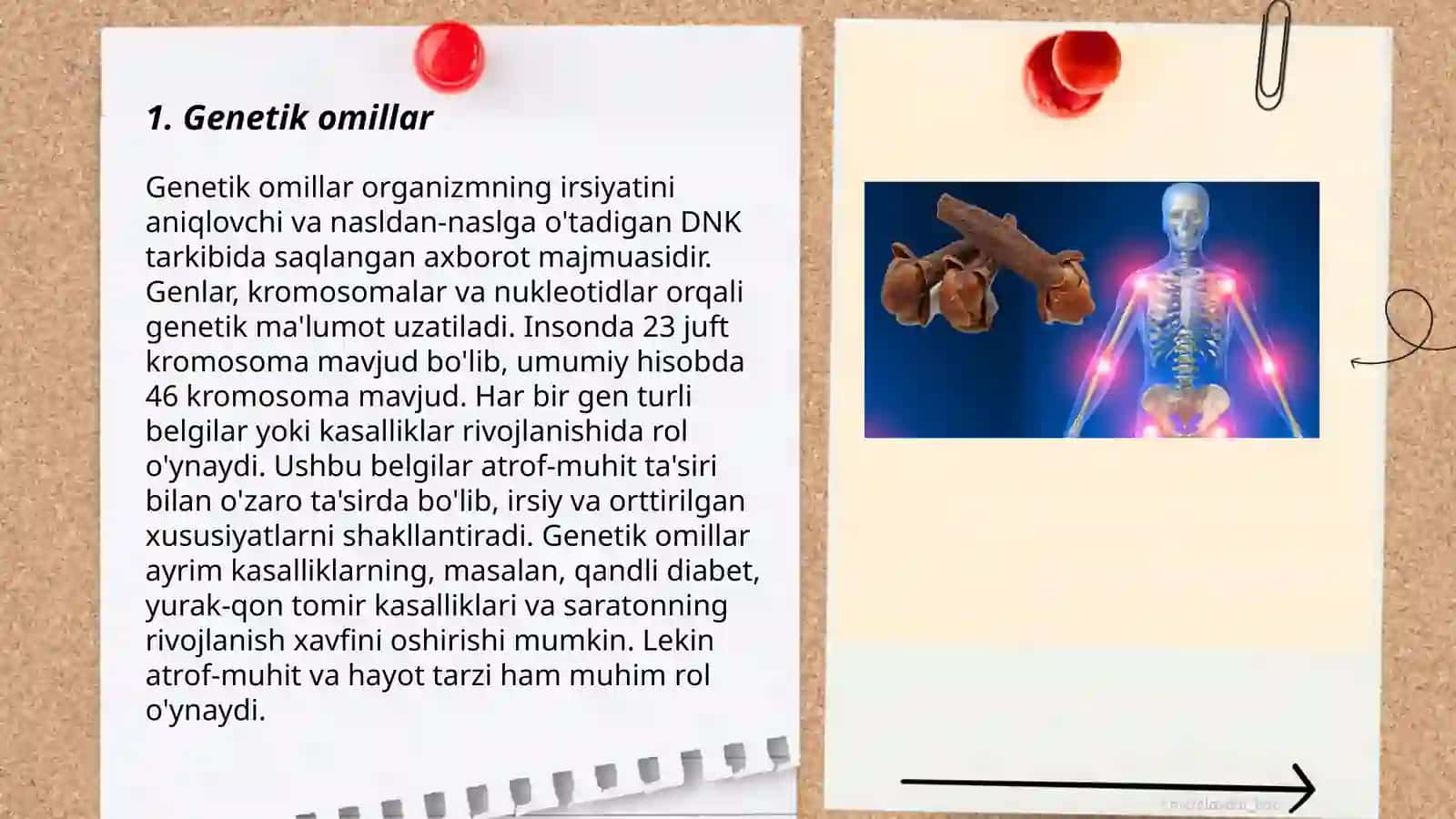 Asab sistemasi kasalliklarining sabablari 3