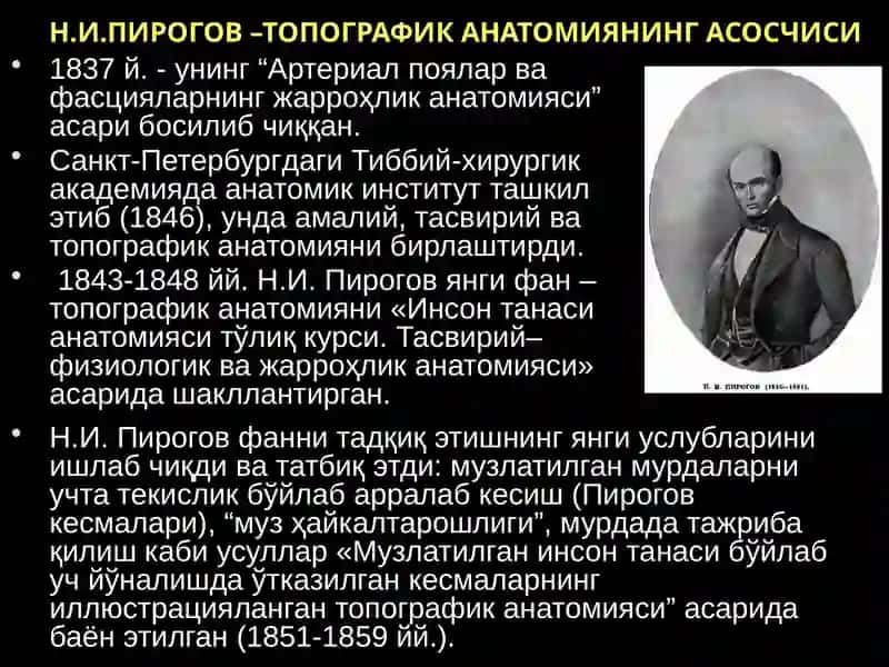 Топографиканатомия 3