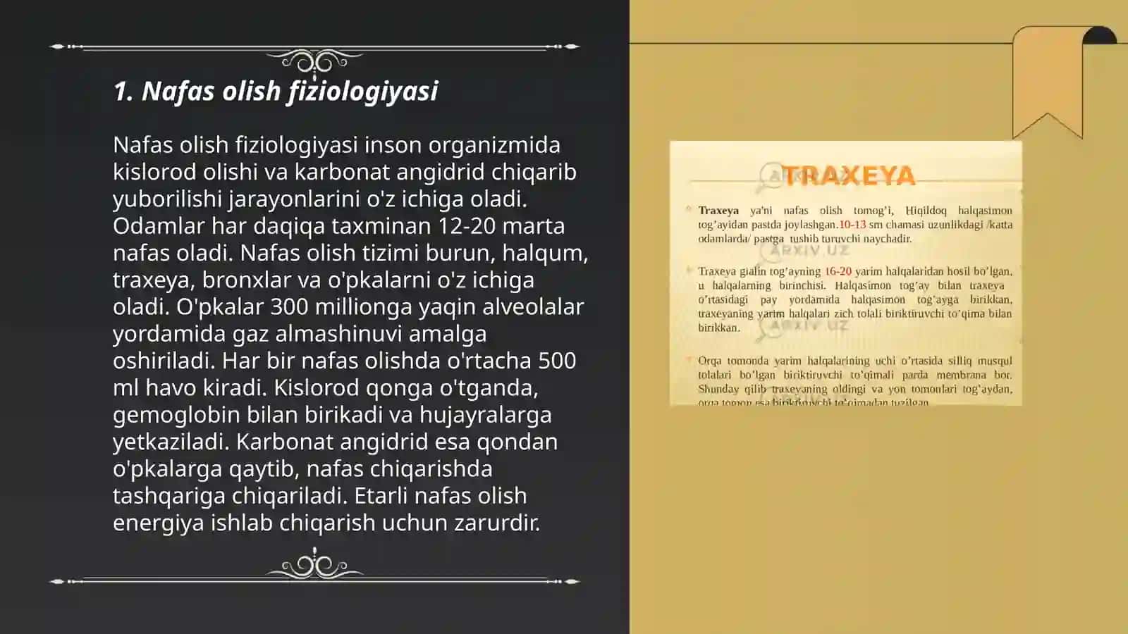 Nafas olish sistemasi va kasalliklari 3