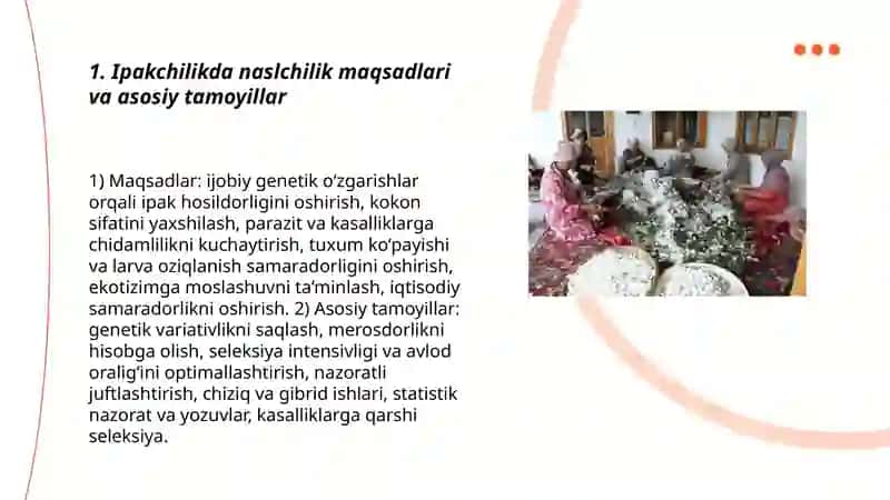 Ipakchilikdagi naslchilik ishlari 3
