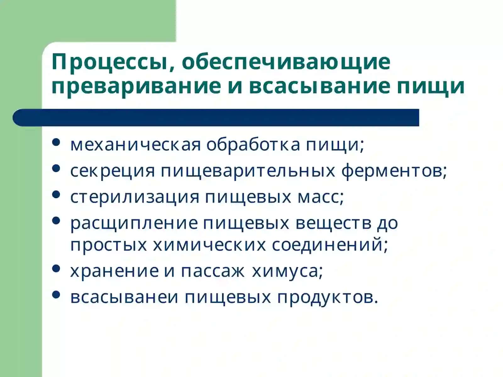 Патофизиология системы пищеварения 3