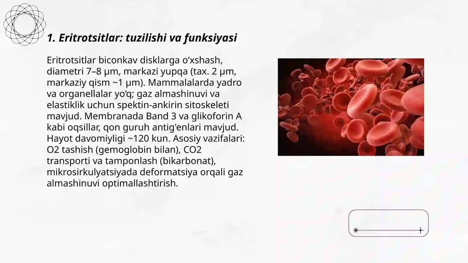 Temiralmashinuvi, gemostaz 3