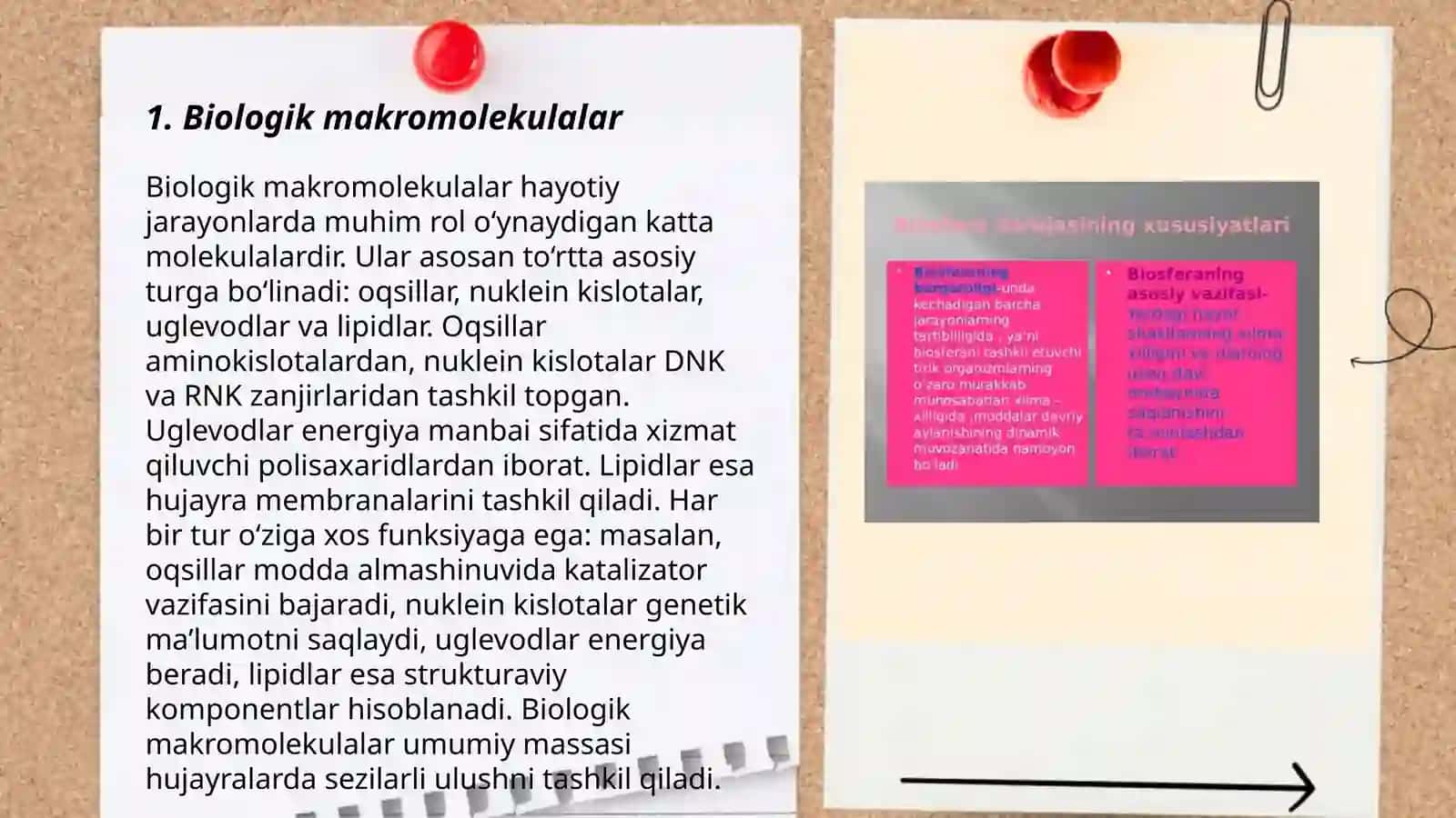 Biologik makromolekulalar 3