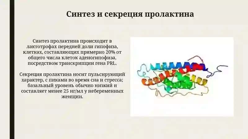 Гормон пролактин 3