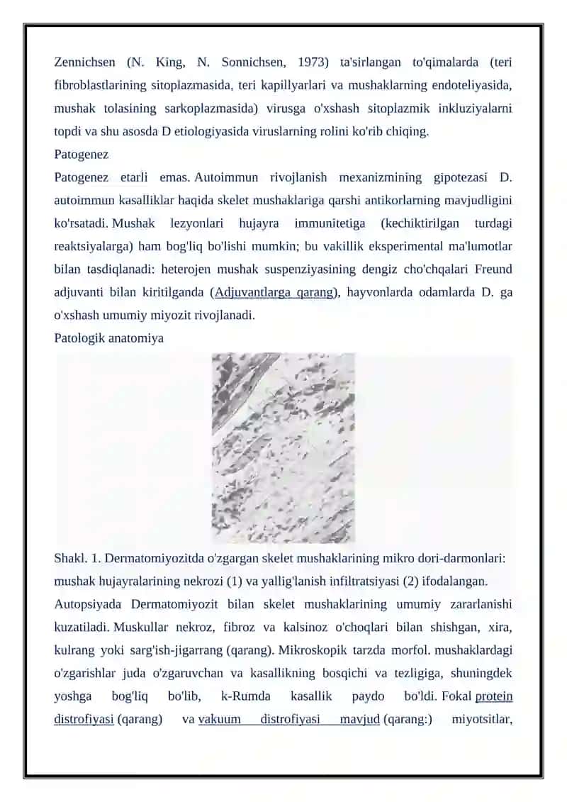 DERMATOMIOZITLAR 3