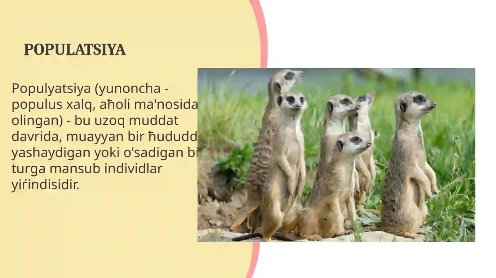 Populyatsiya 3