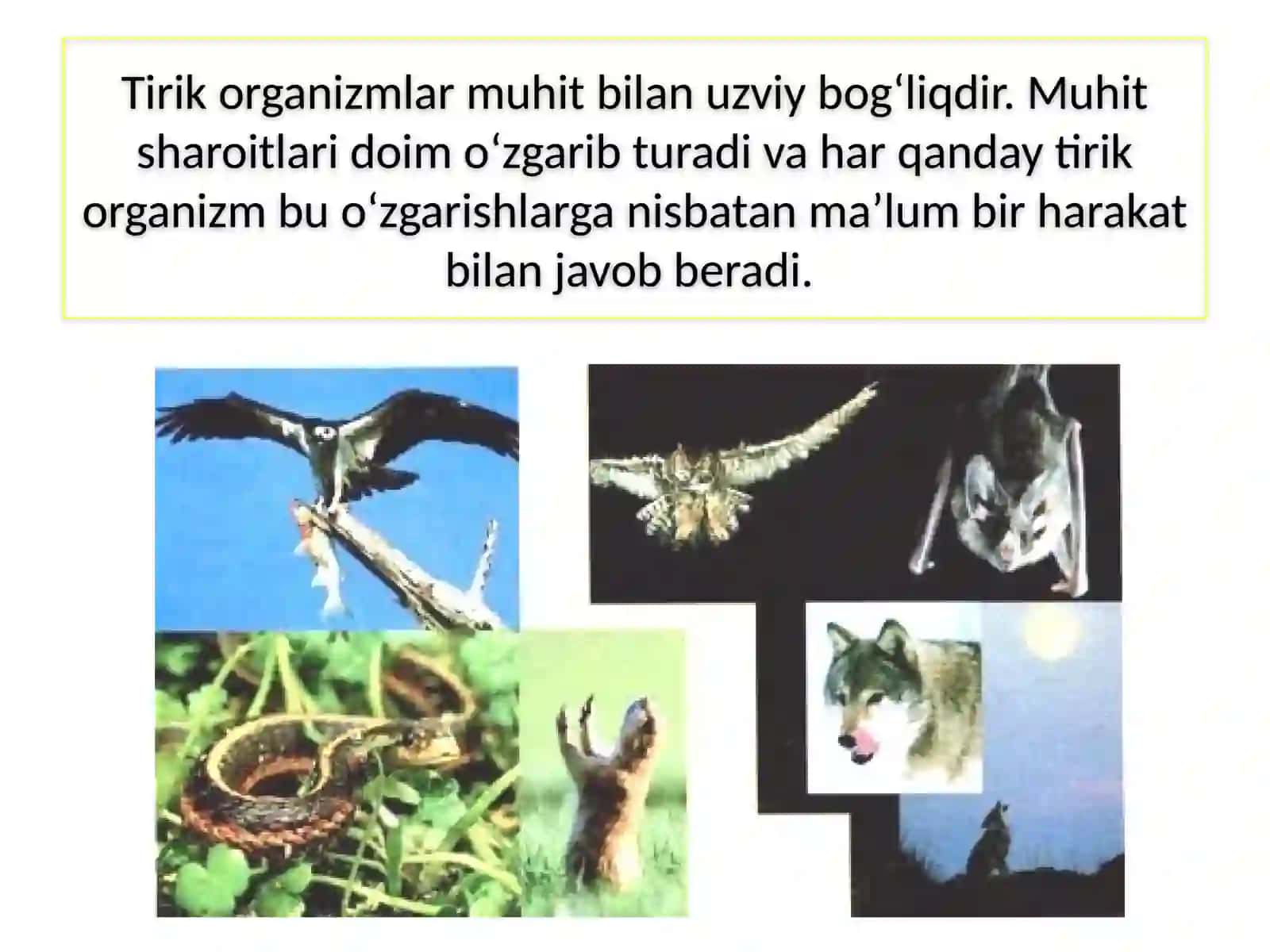 MAVZU.TIRIK ORGANIZMLARNING TA’SIRLANISHI 3