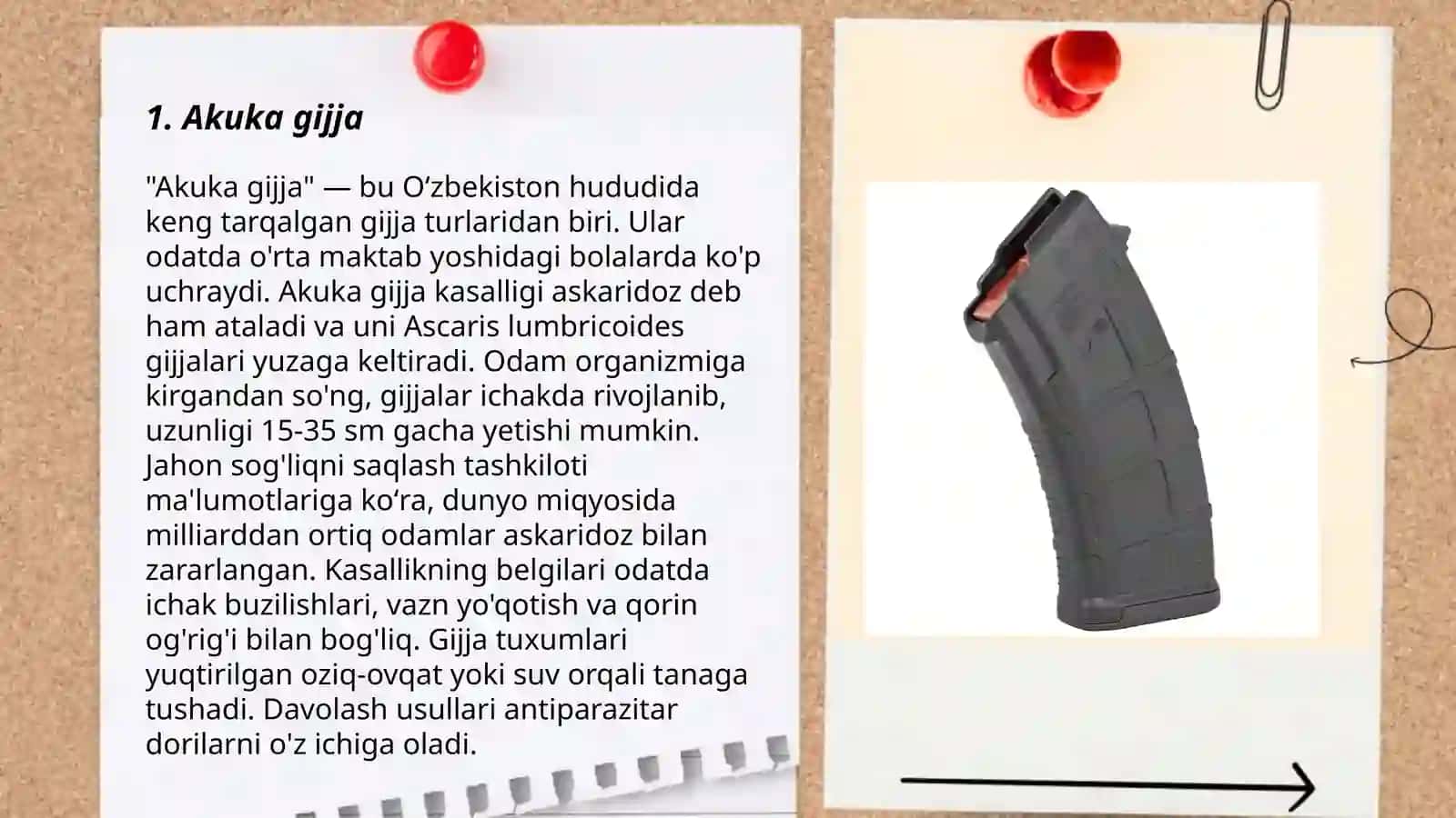 Ak uka grimlar ijodi 3