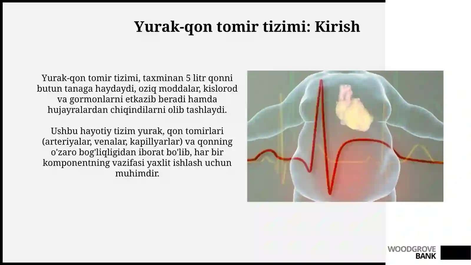 Yurak va qon tomir sistemasi 3
