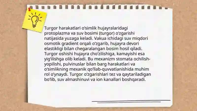 Harakatning muskulsiz formalar 3