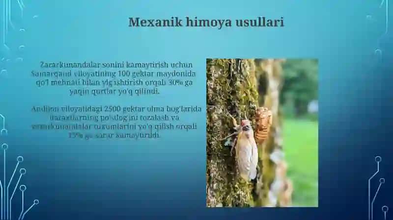 Hashorotlarning o'rmon xo'jaligiga zararini aniqlash 3