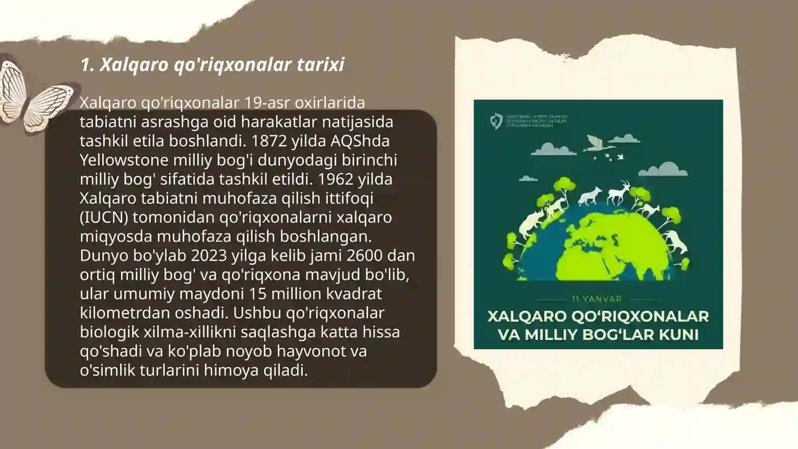 Xalqaro qo'riqxonalar 3
