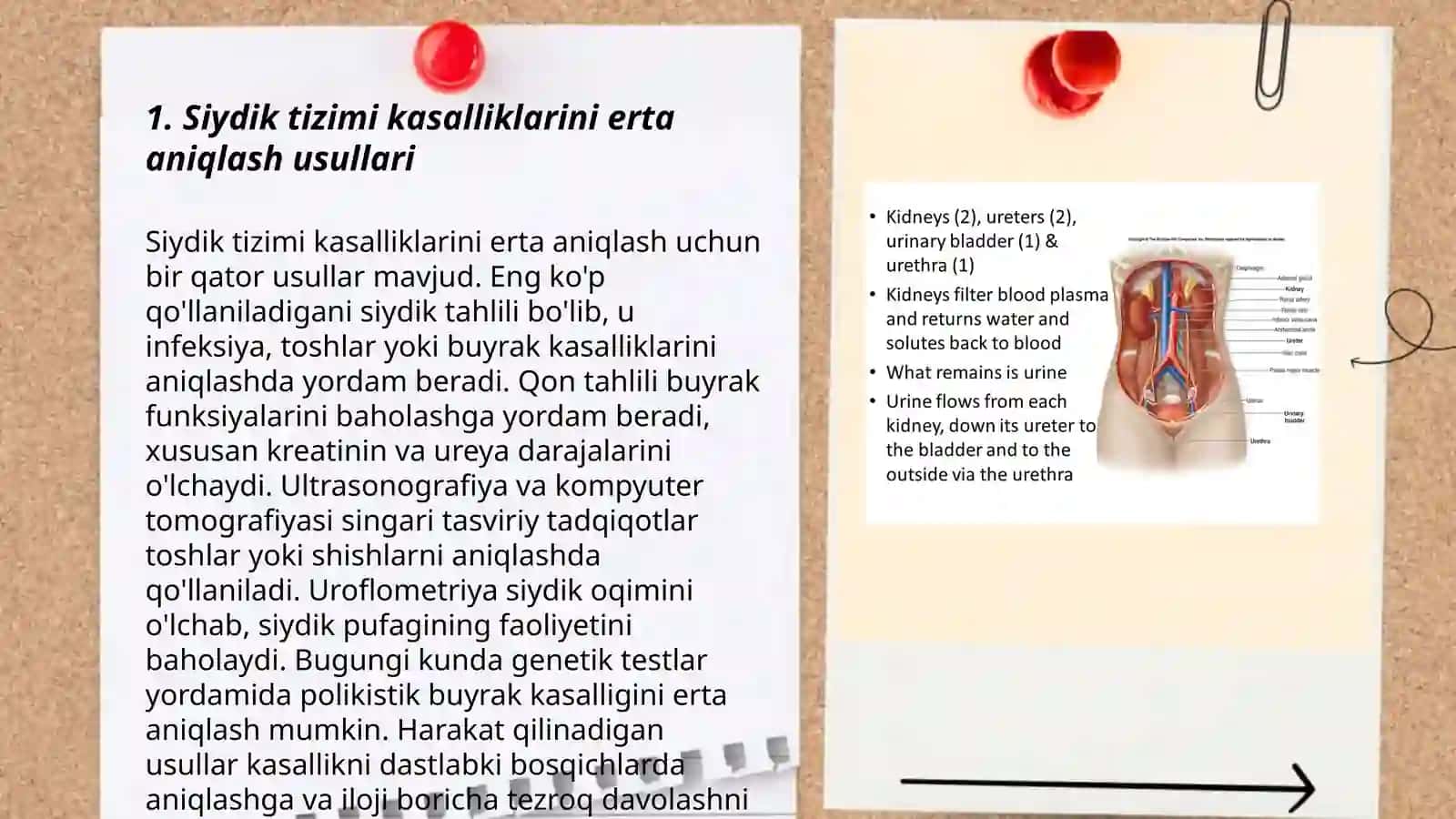Siydik va Buyrak Kasalliklari Parvarish Qilish 3