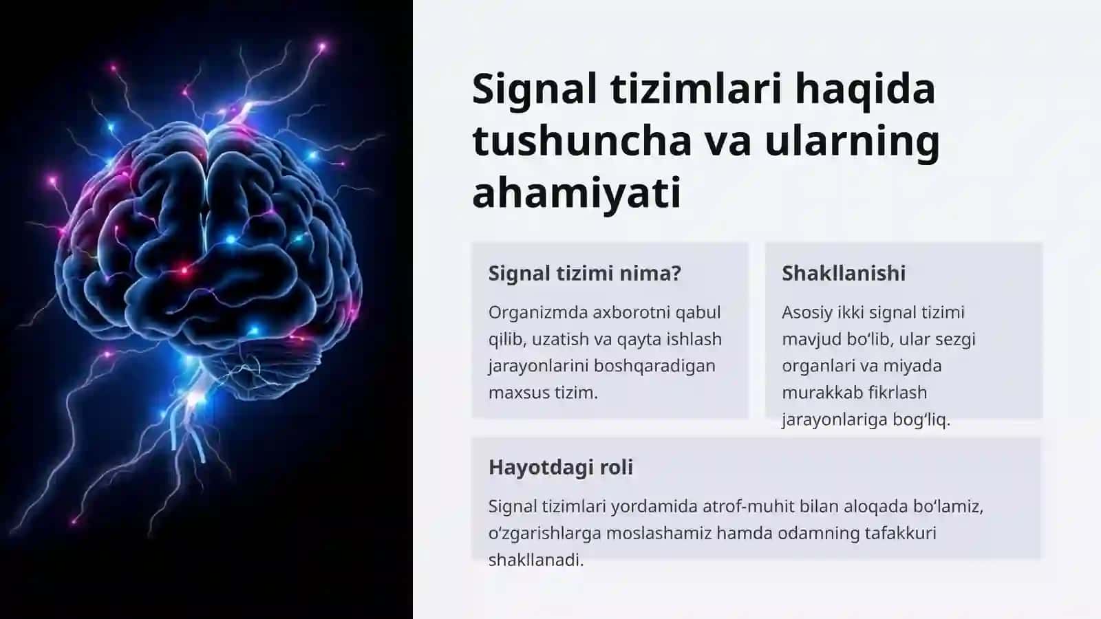 Bosh miya turli bo'limlarini o'rganish 3